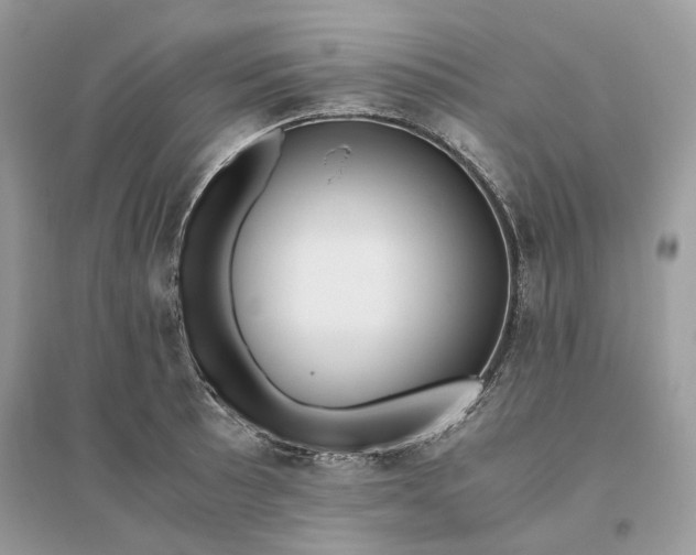 X0000096141089200802011205