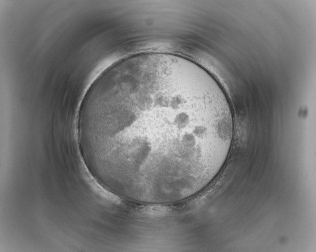X0000096141090200802011205