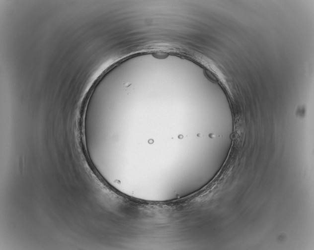 X0000096141091200802011205