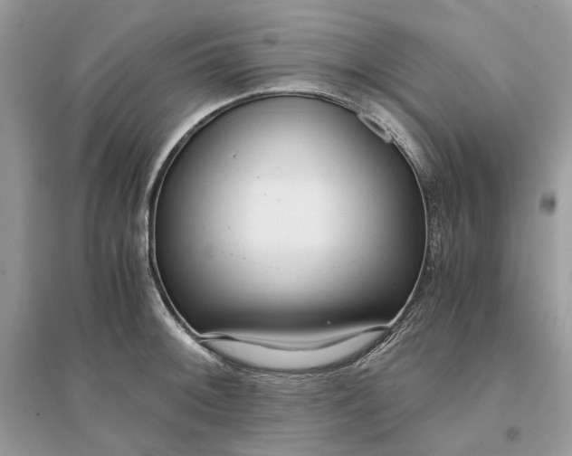 X0000096141092200802011205
