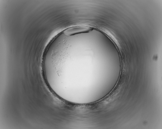 X0000096141093200802011205