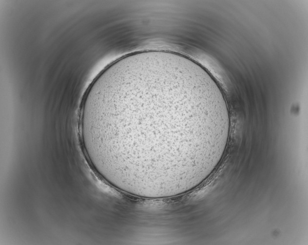 X0000096141094200802011205