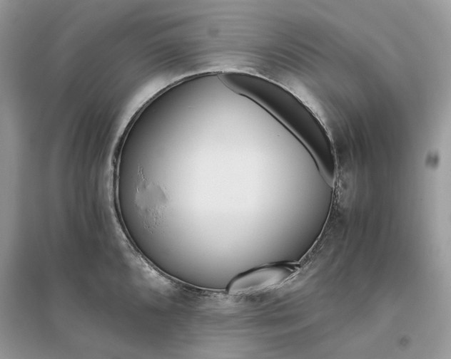 X0000096141096200802011205