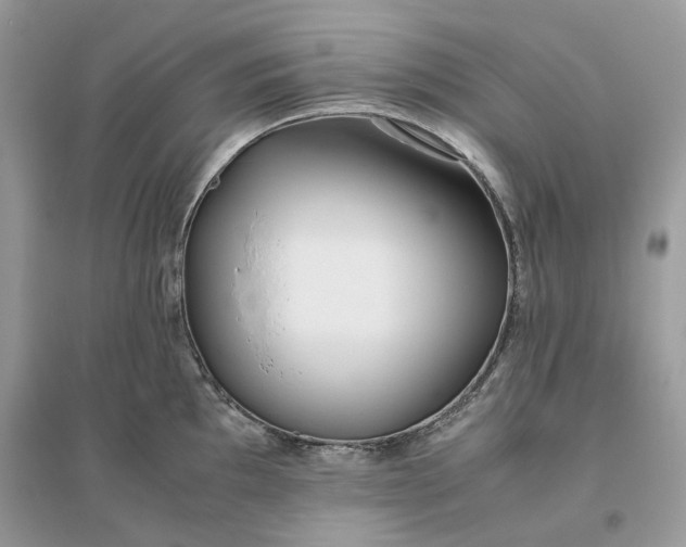 X0000096141097200802011205