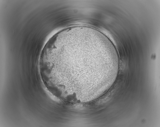 X0000096141098200802011205