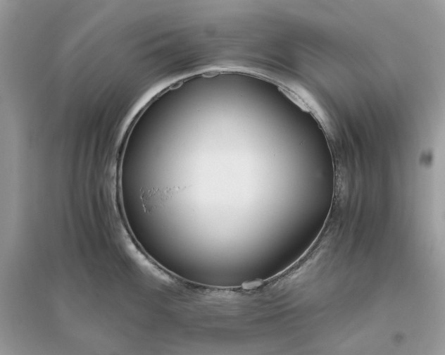 X0000096141100200802011205