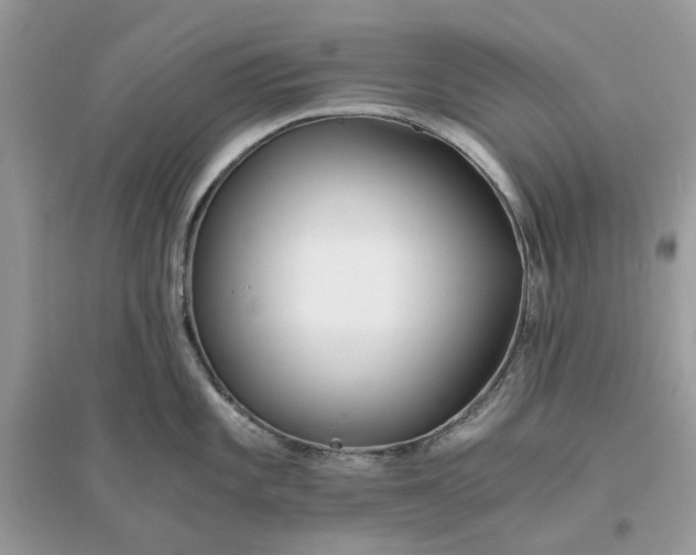 X0000096141101200802011205