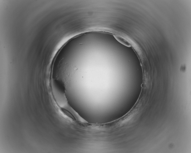 X0000096141102200802011205