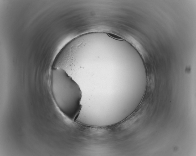 X0000096141103200802011205