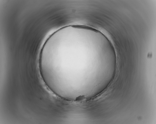 X0000096141104200802011205