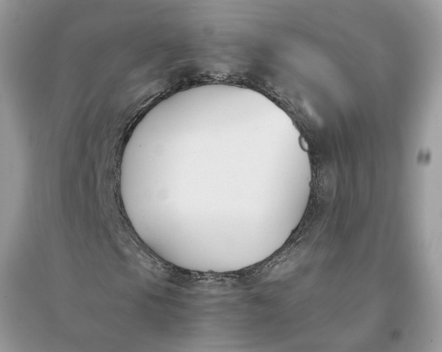 X0000096141105200802011204