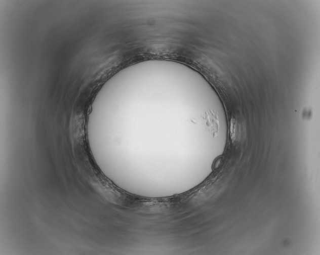 X0000096141107200802011204