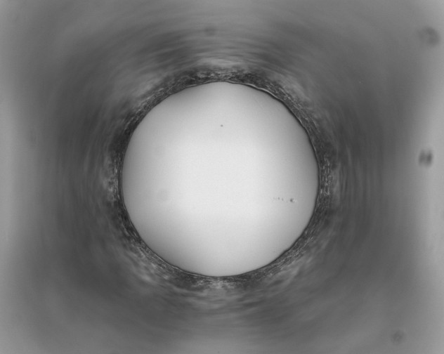 X0000096141109200802011204