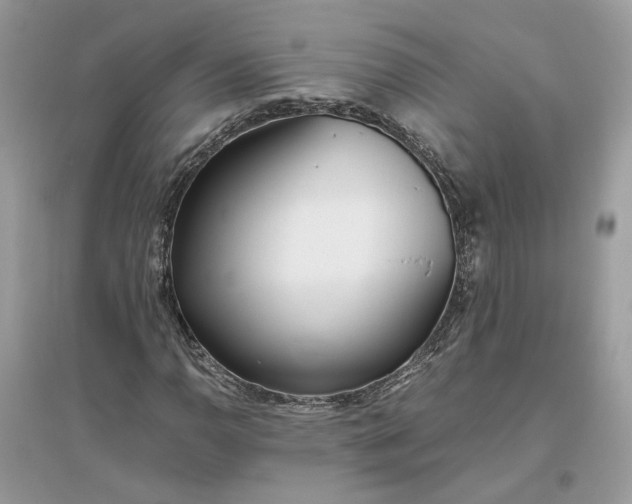 X0000096141110200802011204