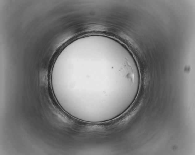 X0000096141113200802011204
