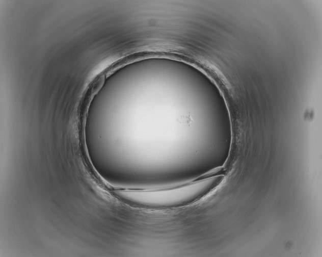 X0000096141114200802011204
