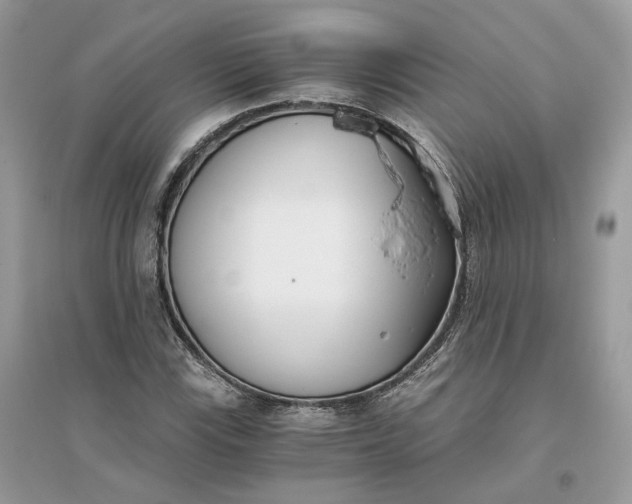 X0000096141115200802011204