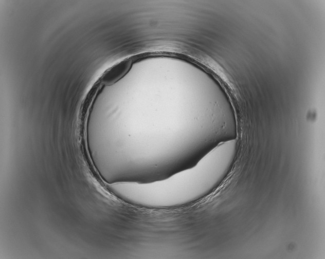 X0000096141116200802011204