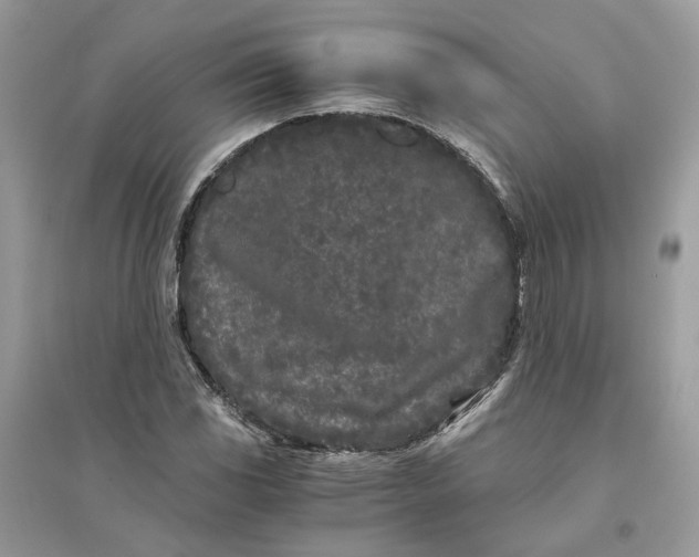 X0000096141117200802011204