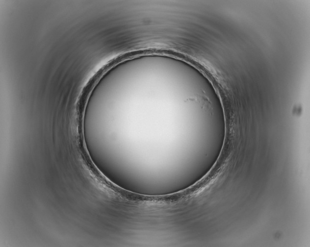 X0000096141118200802011204
