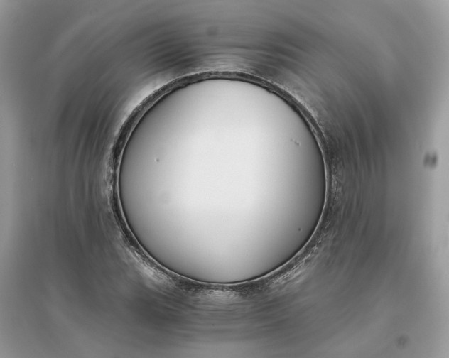 X0000096141119200802011204
