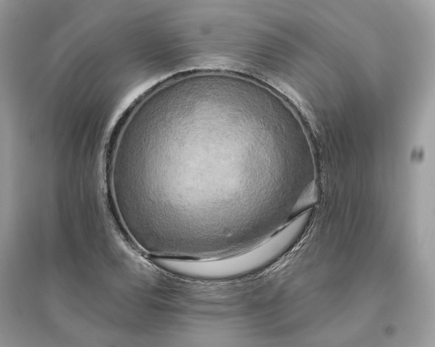 X0000096141120200802011204