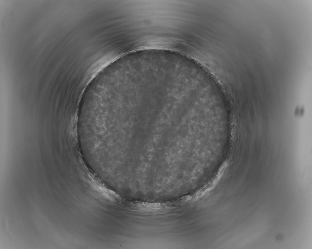X0000096141121200802011204