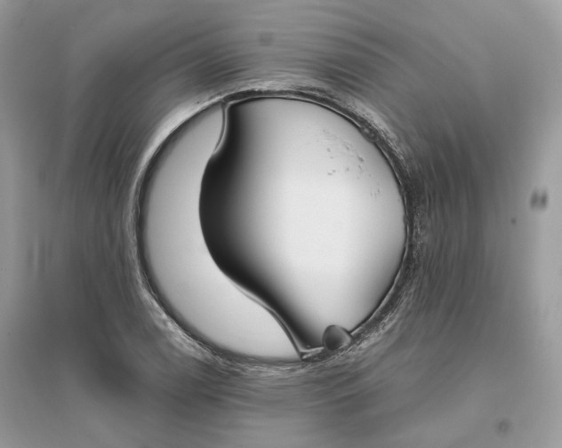 X0000096141122200802011204