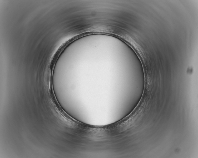 X0000096141123200802011205
