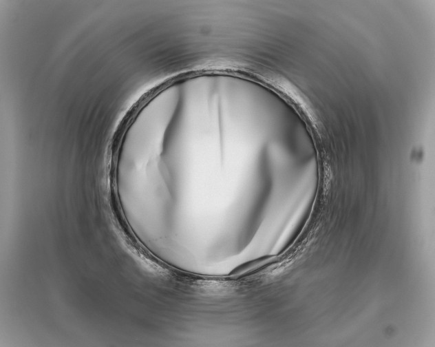 X0000096141124200802011205