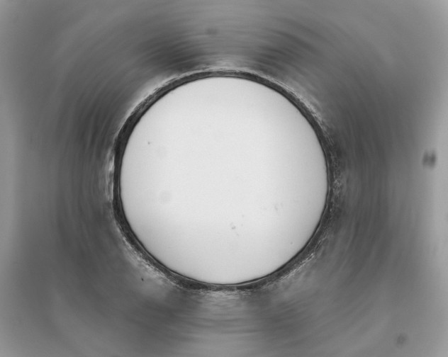 X0000096141126200802011205