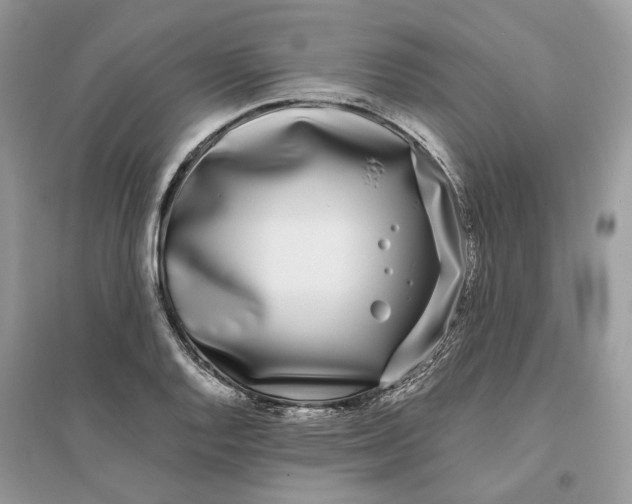 X0000096141128200802011205