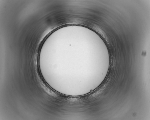 X0000096141130200802011205