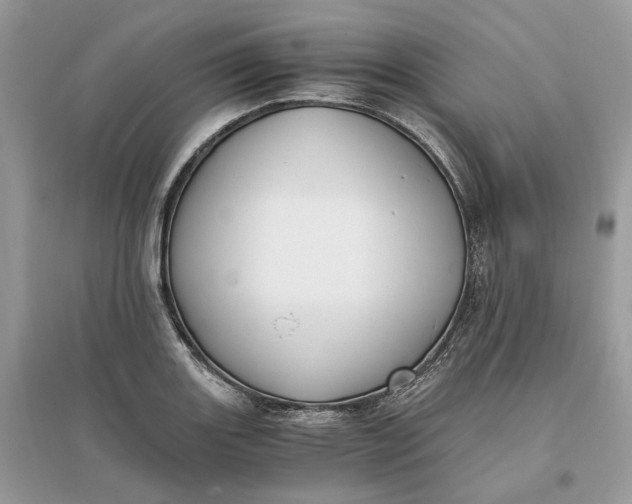 X0000096141131200802011205