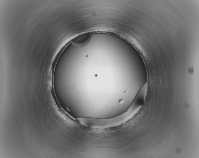 X0000096141132200802011205