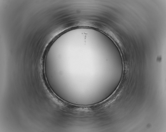 X0000096141133200802011205