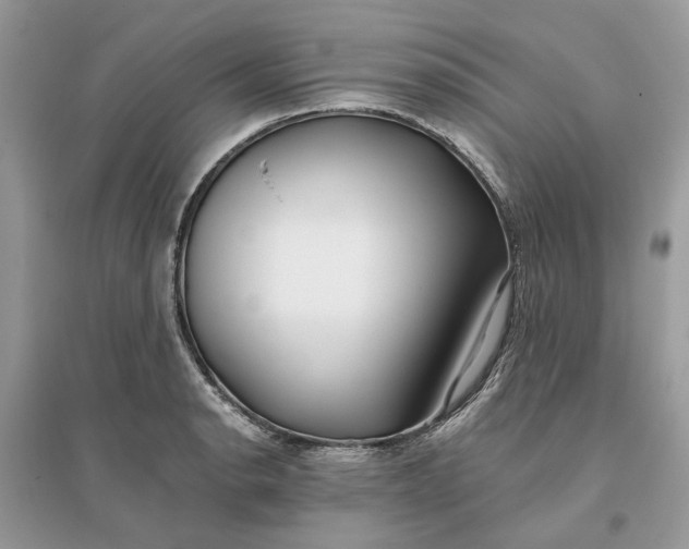 X0000096141134200802011205