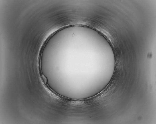 X0000096141135200802011205