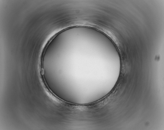 X0000096141136200802011205