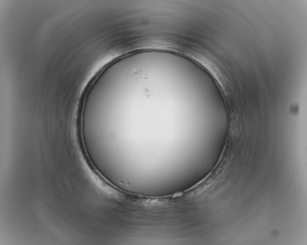 X0000096141139200802011205