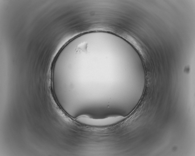 X0000096141140200802011205