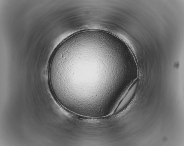 X0000096141141200802011205