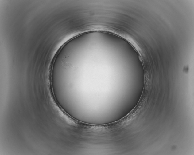 X0000096141142200802011205