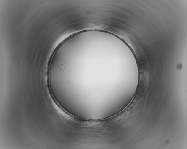X0000096141143200802011205