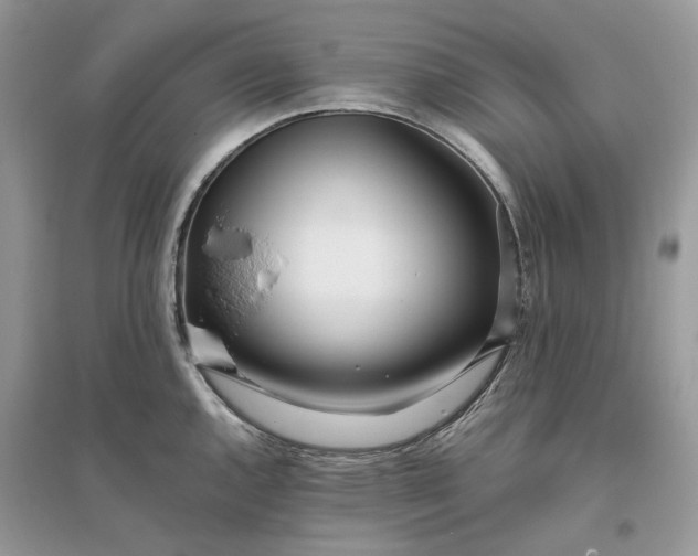 X0000096141144200802011205
