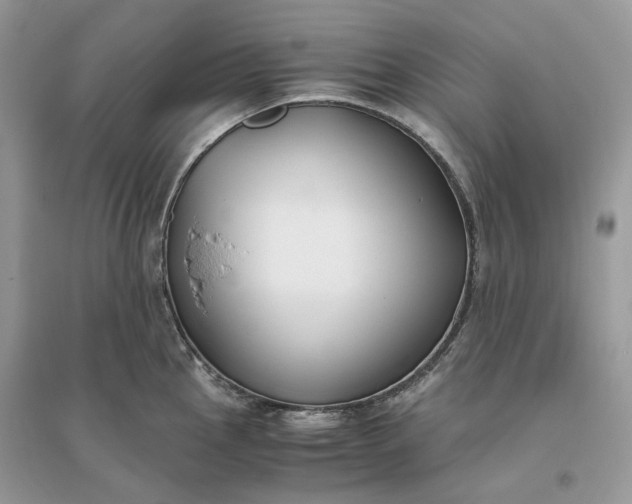 X0000096141145200802011205