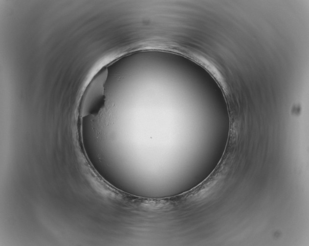 X0000096141146200802011205