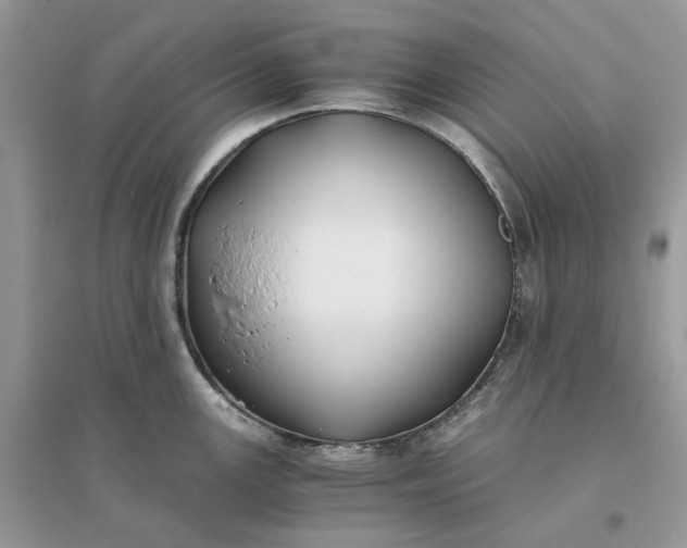 X0000096141147200802011205