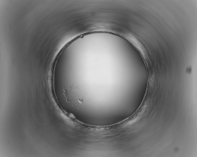 X0000096141149200802011205