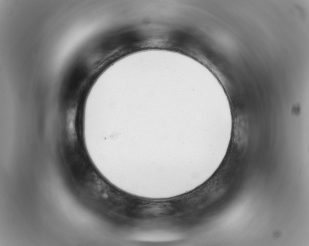 X0000096141150200802011205